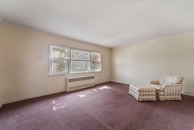 63-33 75th St, Middle Village, NY 11379 - photo 23