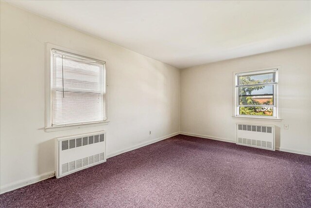 63-33 75th St, Middle Village, NY 11379 - photo 29