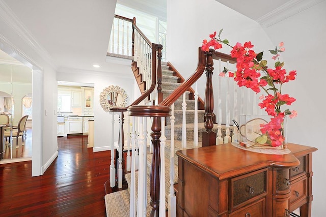 5 Samuel Ct, Syosset, NY 11791 - photo 3