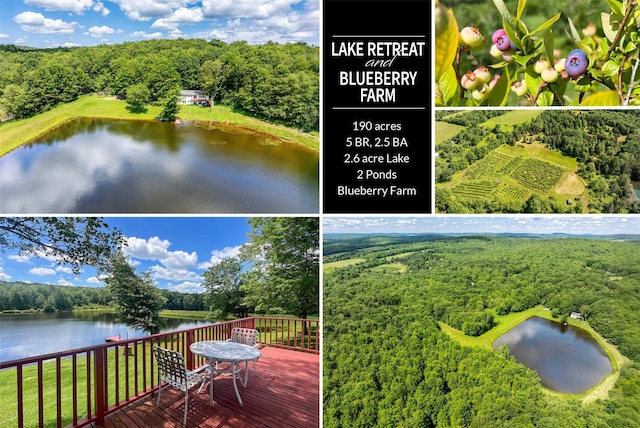 361 Warren Rd, Delhi, NY 13753 - photo 1