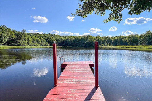 361 Warren Rd, Delhi, NY 13753 - photo 6