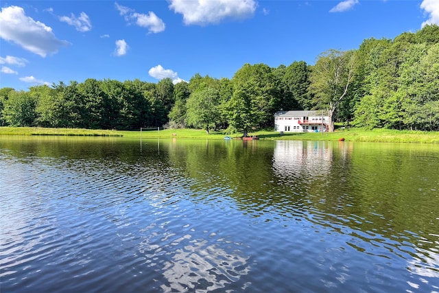 361 Warren Rd, Delhi, NY 13753 - photo 35