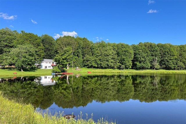 361 Warren Rd, Delhi, NY 13753 - photo 36