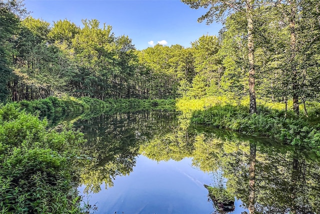 361 Warren Rd, Delhi, NY 13753 - photo 45