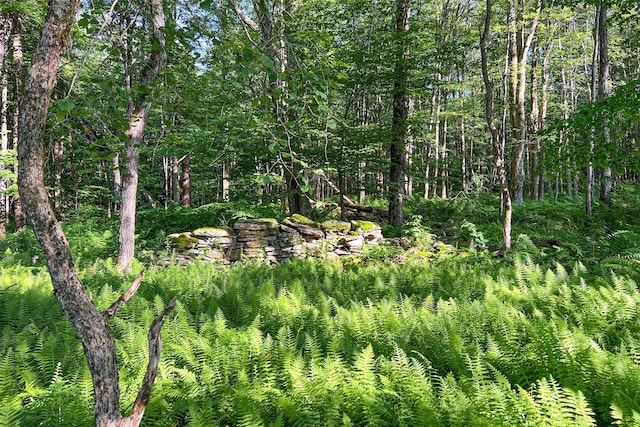 361 Warren Rd, Delhi, NY 13753 - photo 47