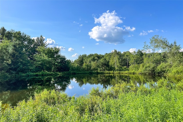 361 Warren Rd, Delhi, NY 13753 - photo 48