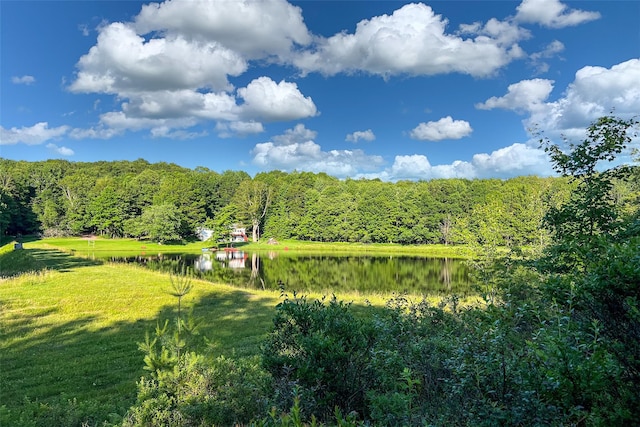 361 Warren Rd, Delhi, NY 13753 - photo 49