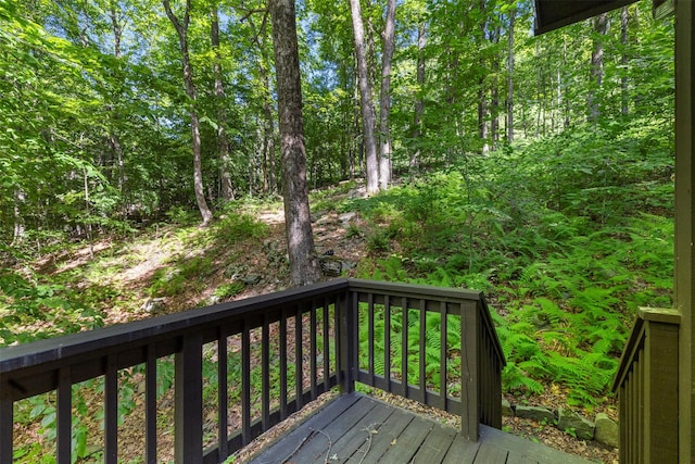 273 Grog Kill Rd, Willow, NY 12495 - photo 32