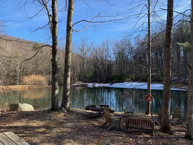 273 Grog Kill Rd, Willow, NY 12495 - photo 35