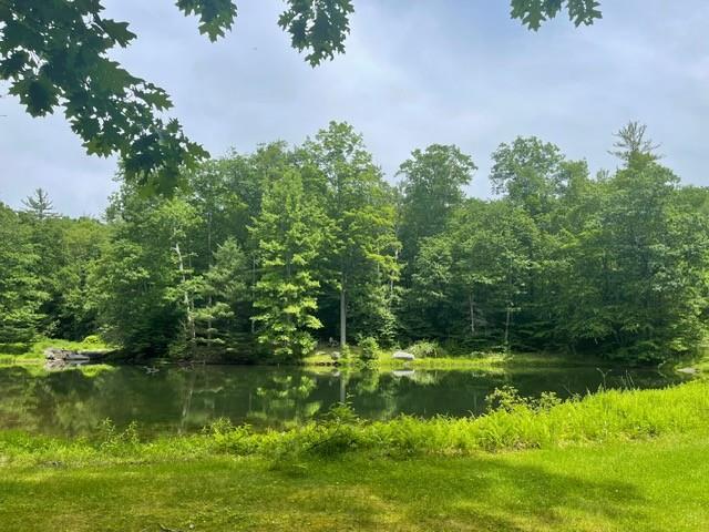 273 Grog Kill Rd, Willow, NY 12495 - photo 36