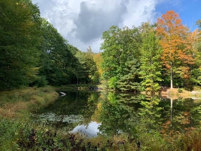 273 Grog Kill Rd, Willow, NY 12495 - photo 37