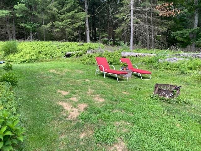 437 Hollow Rd, Glen Spey, NY 12737 - photo 6