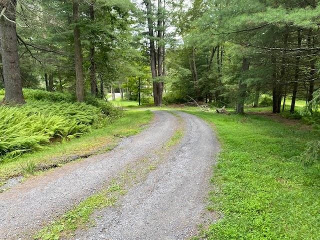 437 Hollow Rd, Glen Spey, NY 12737 - photo 7