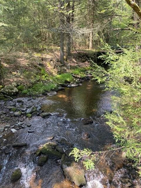 437 Hollow Rd, Glen Spey, NY 12737 - photo 8