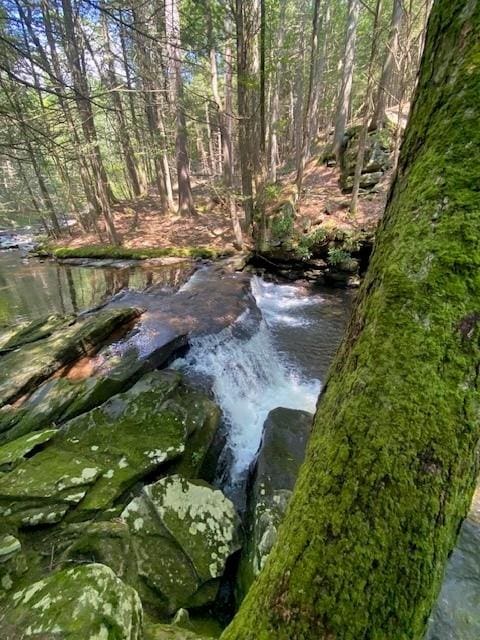 437 Hollow Rd, Glen Spey, NY 12737 - photo 12