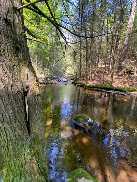 437 Hollow Rd, Glen Spey, NY 12737 - photo 13