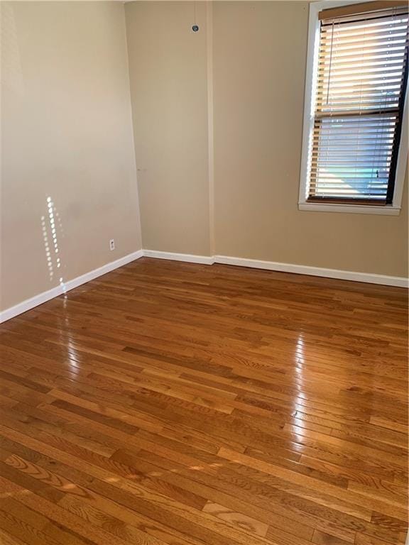 2564 Paulding Ave, Bronx, NY 10469 - photo 4