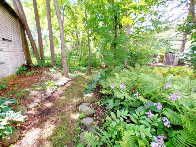 18 Tremper Ave, Phoenicia, NY 12464 - photo 10