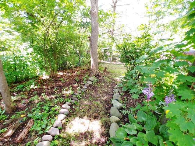 18 Tremper Ave, Phoenicia, NY 12464 - photo 11