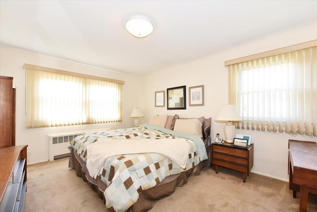 18 Robin Ter, Massapequa Park, NY 11762 - photo 17