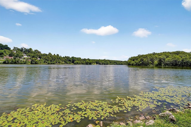 13 Cromwell Pl # A, Mohegan Lake, NY 10547 - photo 20