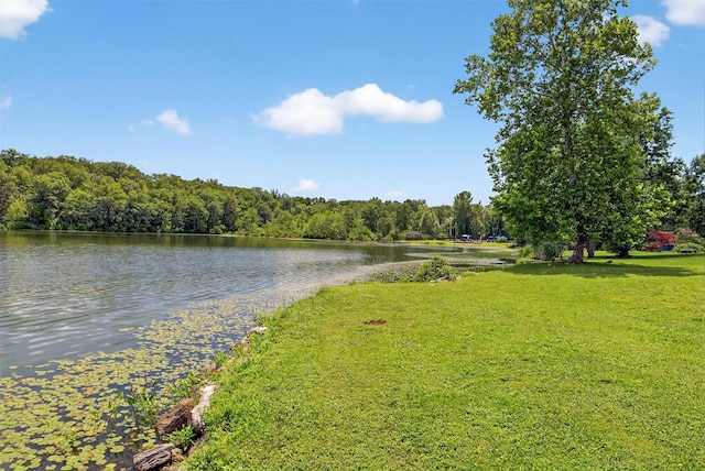 13 Cromwell Pl # A, Mohegan Lake, NY 10547 - photo 21