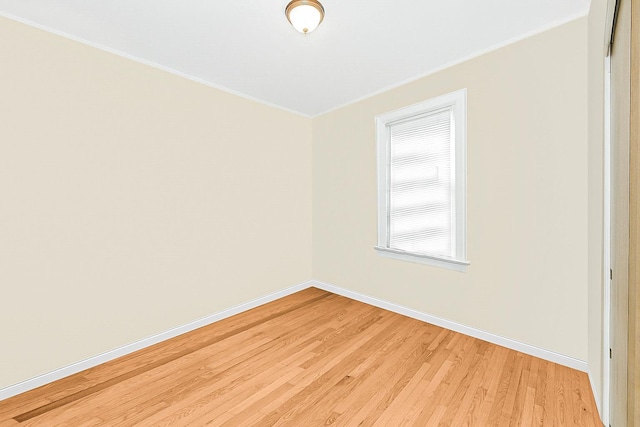 70 Cowles Ave, Yonkers, NY 10704 - photo 11