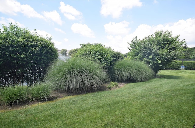 16 Scarborough Dr, Smithtown, NY 11787 - photo 27