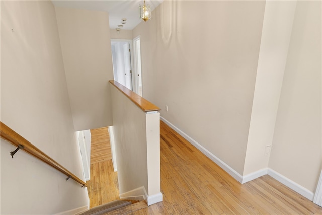 4 Pine Cone Ct, Moriches, NY 11955 - photo 24