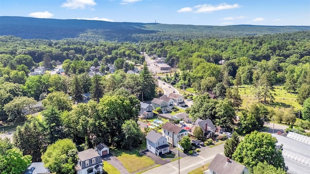 14 Chestnut St, Port Jervis, NY 12771 - photo 19