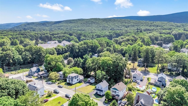 14 Chestnut St, Port Jervis, NY 12771 - photo 20
