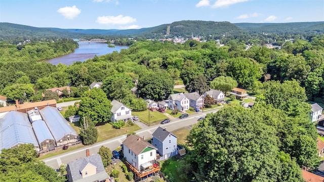 14 Chestnut St, Port Jervis, NY 12771 - photo 21