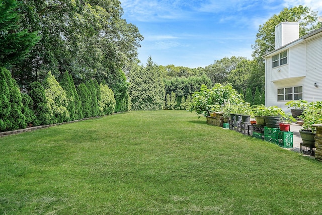 7 Sara Ct, Nesconset, NY 11767 - photo 6