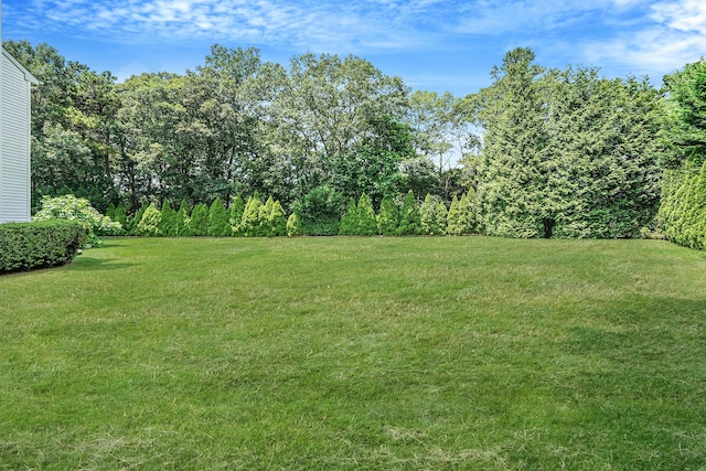 7 Sara Ct, Nesconset, NY 11767 - photo 9