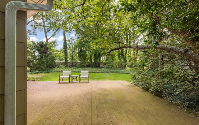 4 Eileen Ct, Commack, NY 11725 - photo 19