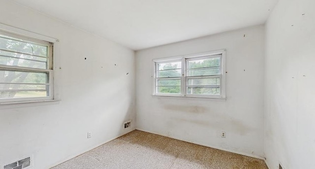 30 Paul Ct, Pearl River, NY 10965 - photo 16