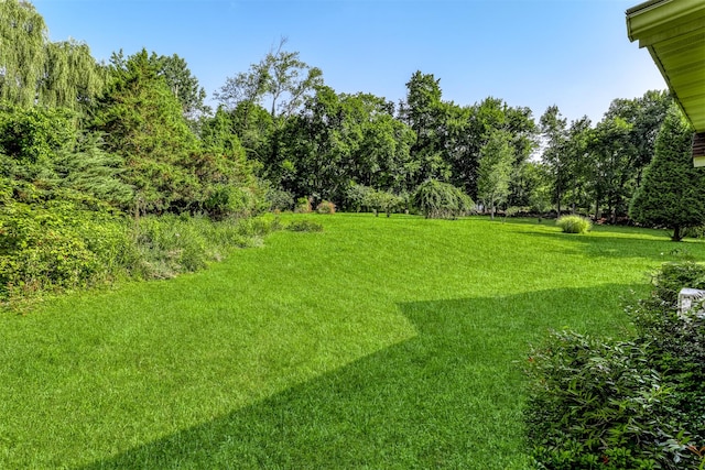 124 Willow Tree Rd, Monsey, NY 10952 - photo 23