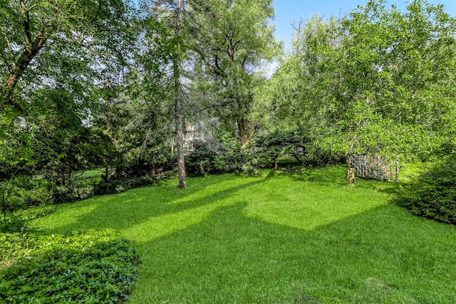 124 Willow Tree Rd, Monsey, NY 10952 - photo 24