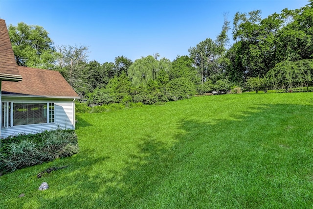 124 Willow Tree Rd, Monsey, NY 10952 - photo 25