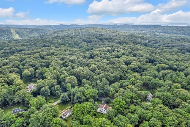 9 Florence Dr, Chappaqua, NY 10514 - photo 40