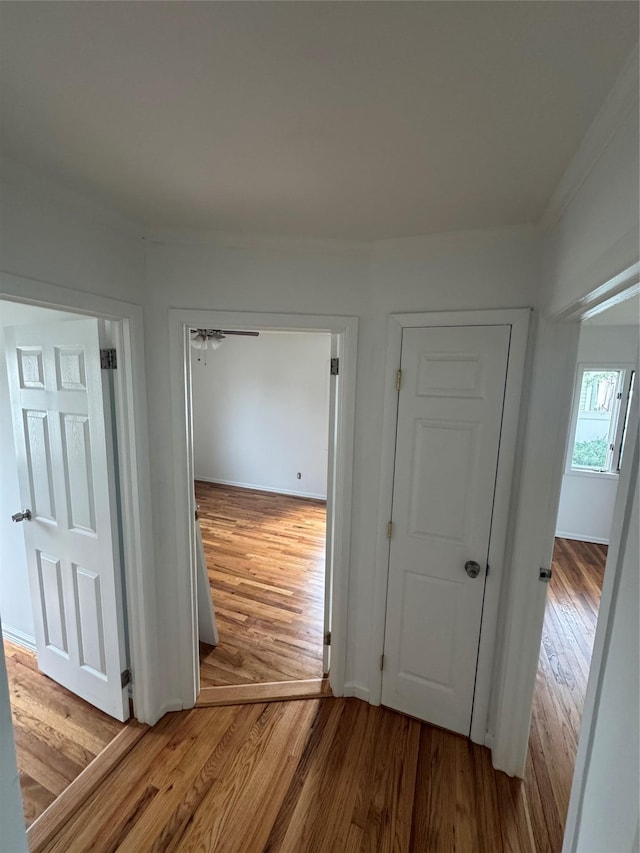 344 N Hickory St, Massapequa, NY 11758 - photo 5