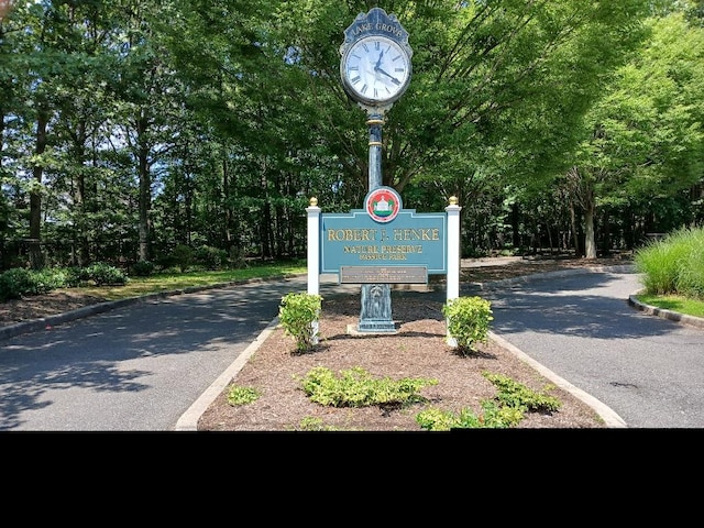 38 Tulip Grove Dr, Lake Grove, NY 11755 - photo 25