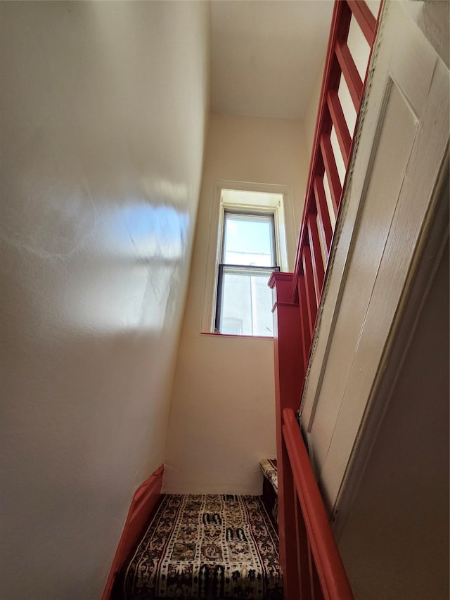 317 E 49th St, Brooklyn, NY 11203 - photo 8