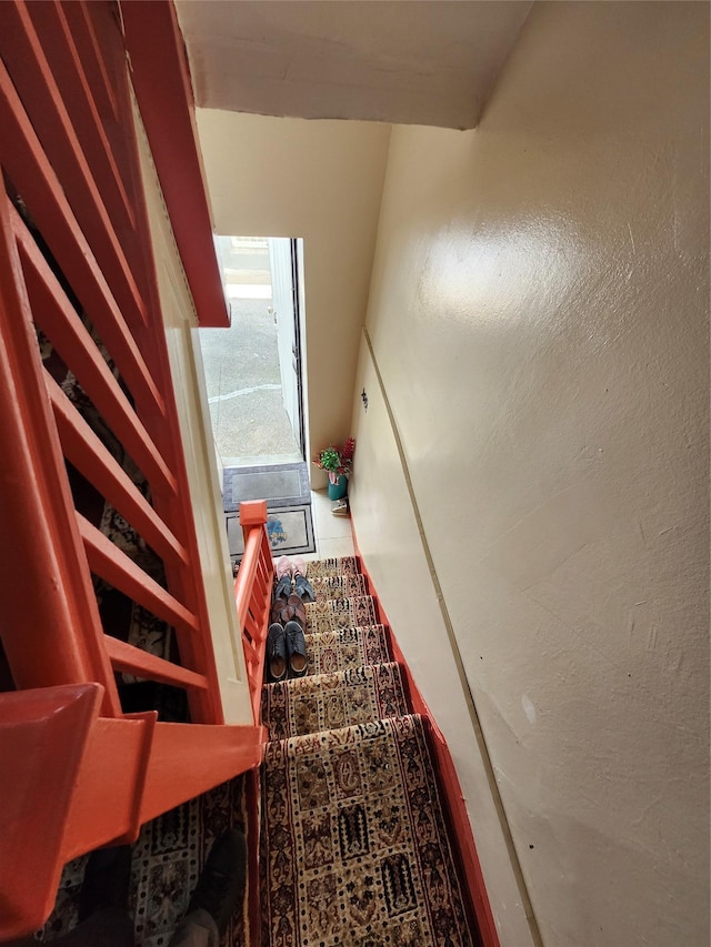 317 E 49th St, Brooklyn, NY 11203 - photo 9