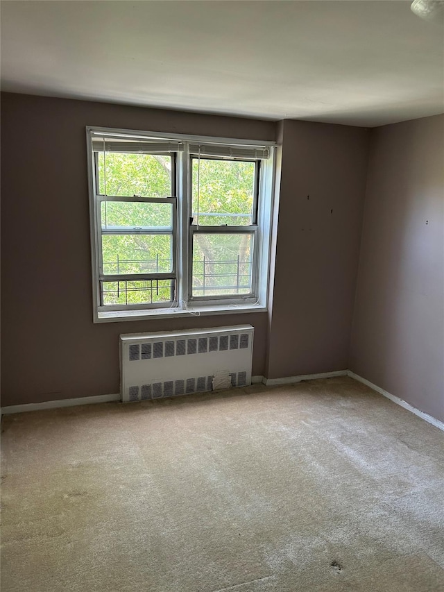 4265 Webster Ave Unit 7D, Bronx, NY 10470 - photo 10