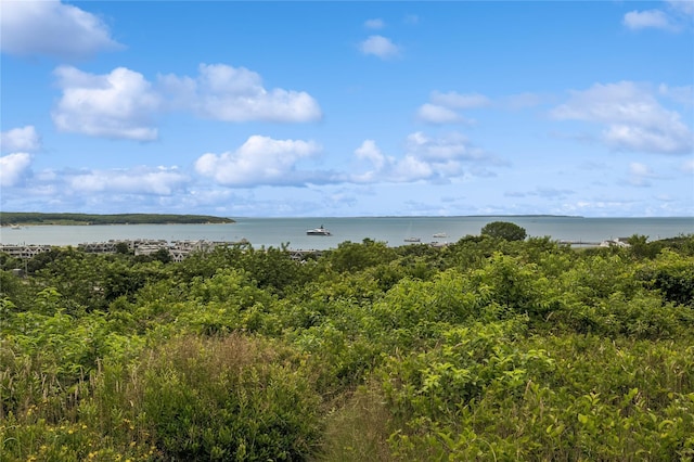 236 Edgemere St Unit 427, Montauk, NY 11954 - photo 32