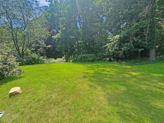 4 Dogwood Dr, Stony Brook, NY 11790 - photo 14