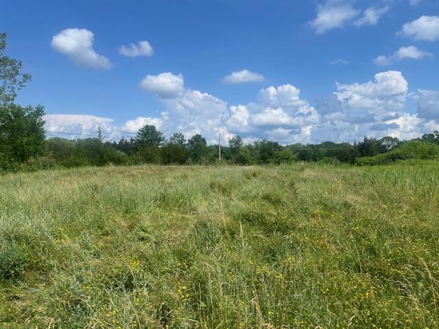 LOT2 Fairview Ave, Hudson, NY 12534 - photo 3