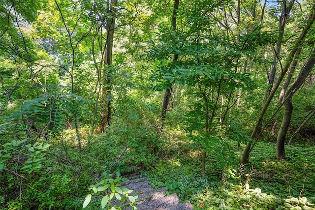6 Century Ridge Rd, Purchase, NY 10577 - photo 30