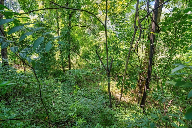 6 Century Ridge Rd, Purchase, NY 10577 - photo 31